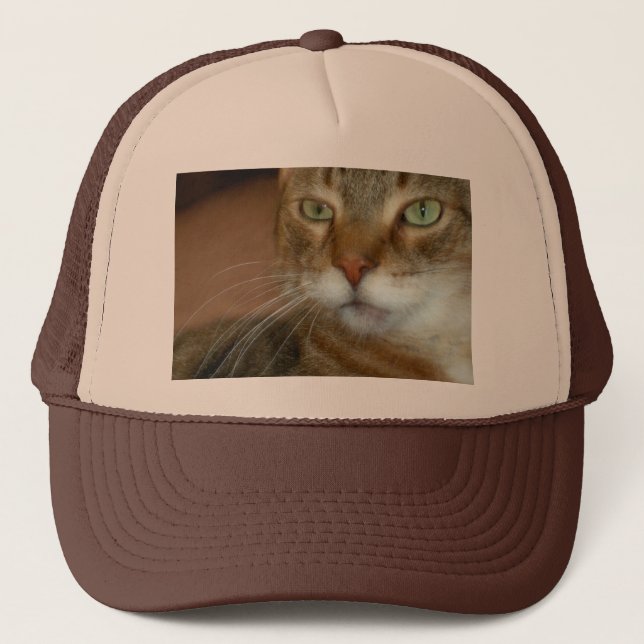 Boné Tabby Cat Love (Frente)