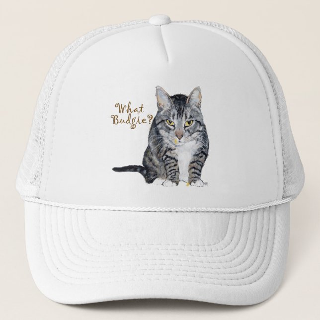 Boné Tabby Cat Pergunta: Que Orçamento? (Frente)