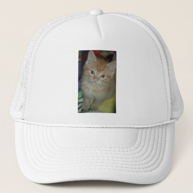 Boné Tabby Love (Frente)