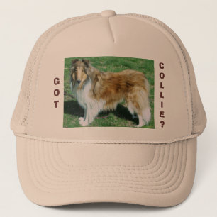 BONÉ TEM, COLLIE?