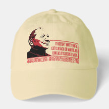 Teoria do Gato de Deng Xiaoping