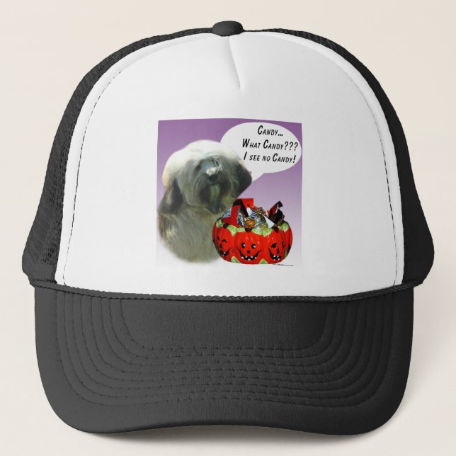 Boné Tibetano Terrier Halloween Candy (Frente)