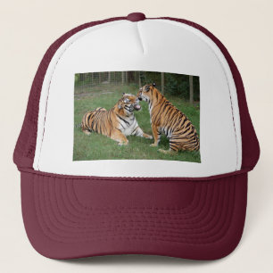 Boné Tigre Friends-007