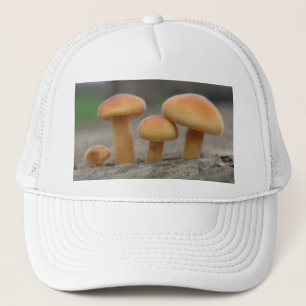 Boné Tiny Toadstools Macro Hat