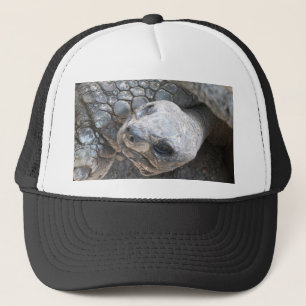 Boné Tortoise Face