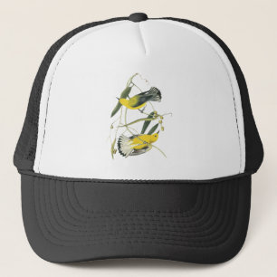 Boné Toutinegra do Prothonotary, John Audubon