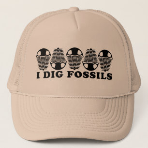 BONÉ TRILOBITES