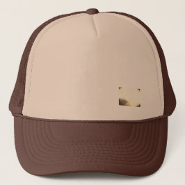 Boné Trucker Hat