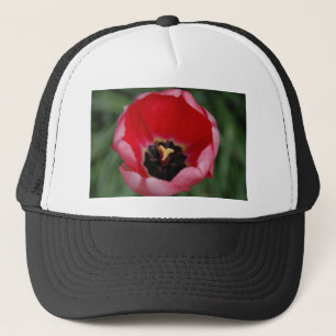 Boné Tulip