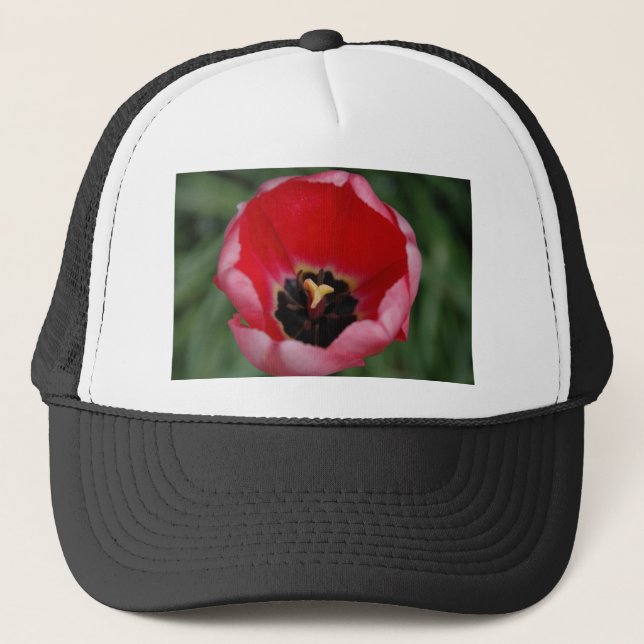 Boné Tulip (Frente)
