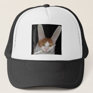 Boné Um cabbit vivo real