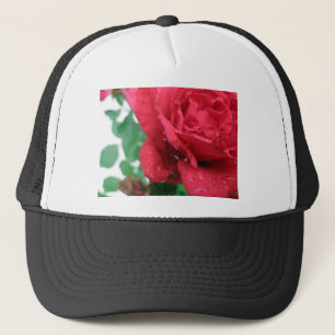 Boné Uma Rosa vermelha