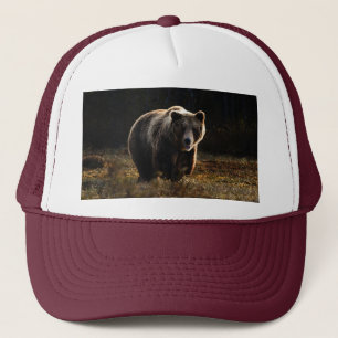 Boné Urso