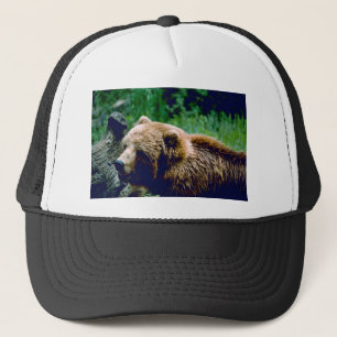 Boné Urso de Brown do Kodiak