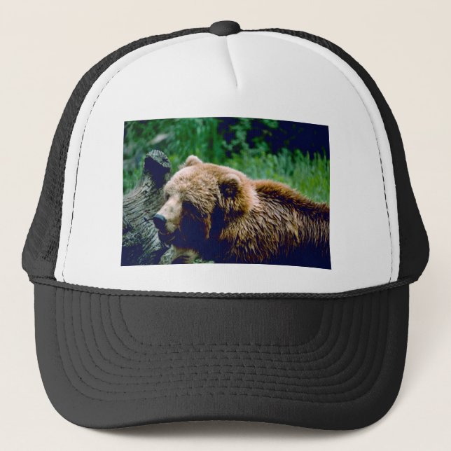 Boné Urso de Brown do Kodiak (Frente)