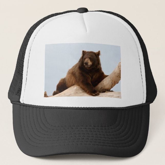 Boné Urso Grande Marrom em um Log (Frente)