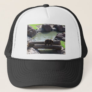 Boné Urso Grizzly