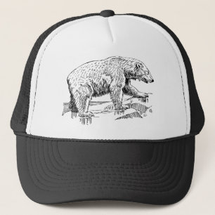Boné Urso Marrom Grande