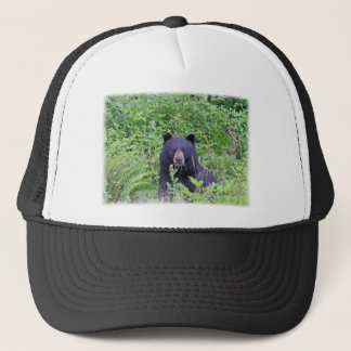 Boné Urso preto nas madeiras