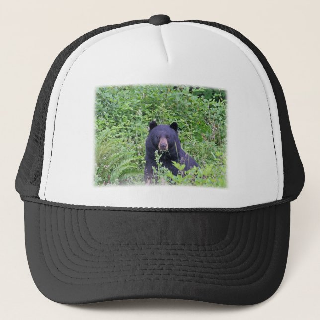 Boné Urso preto nas madeiras (Frente)