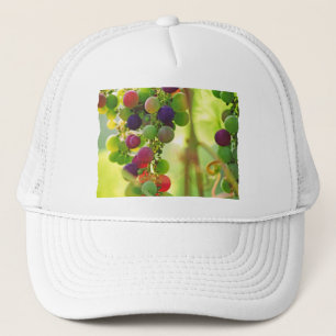 Boné Uvas de muitas cores