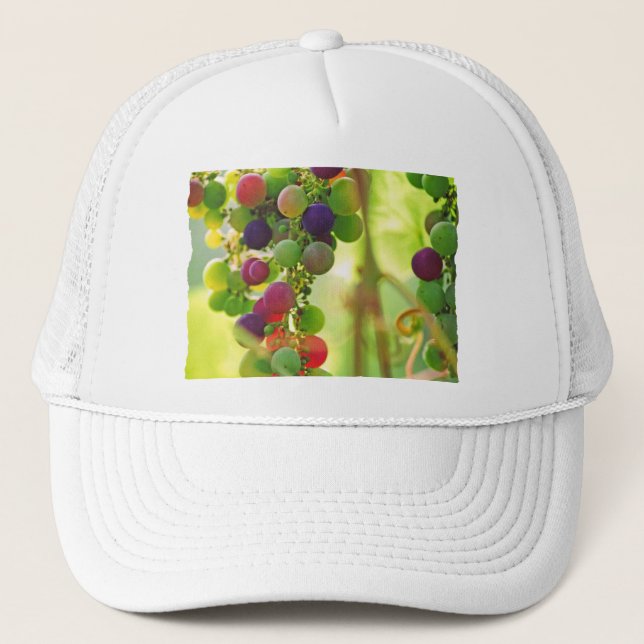 Boné Uvas de muitas cores (Frente)