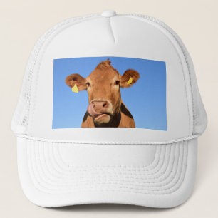 Boné Vaca do jérsei que lambe seu nariz