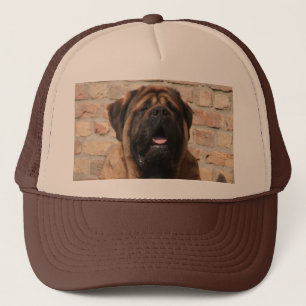 Boné velho Mastiff inglês