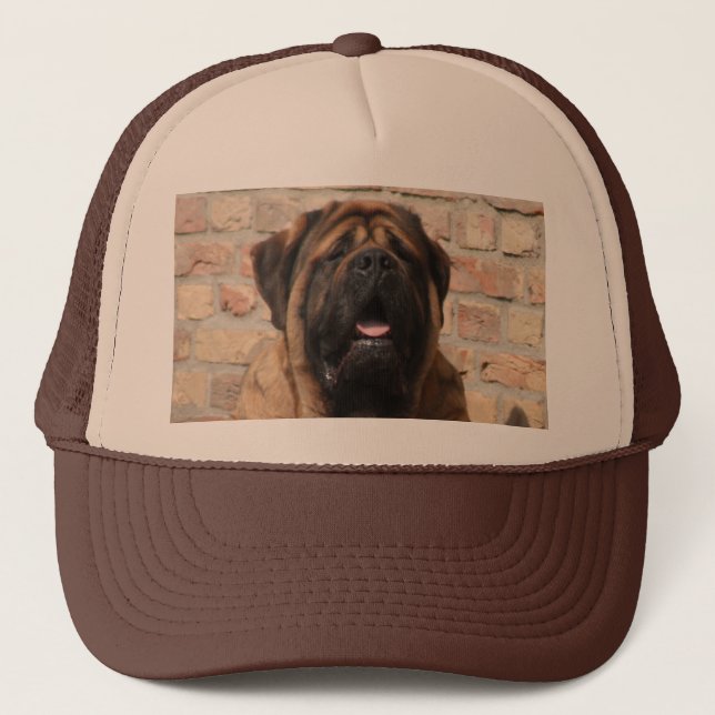 Boné velho Mastiff inglês (Frente)