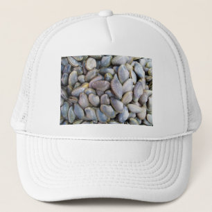 Boné Vênus Clam [ห อ ย ล า ย]