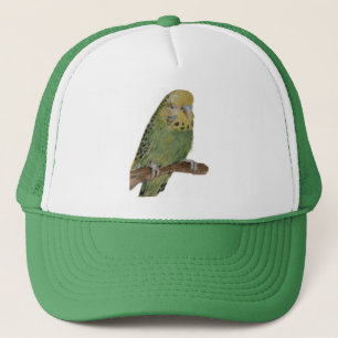 boné verde da arte do budgie