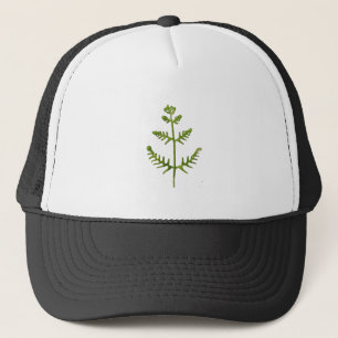 Boné verde primavera