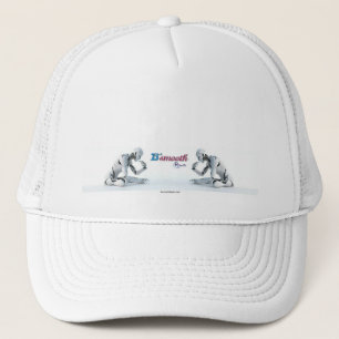 Boné Vestuário e Calçados > Moda masculina > Vestuário