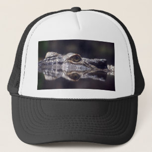 Boné Vinda do crocodilo