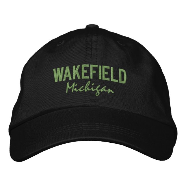 Boné Wakefield Michigan Boridered Baseball Hat (Frente)