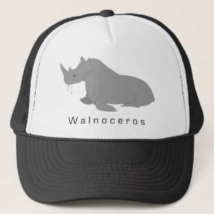 Boné Walnoceros