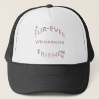 Weimaraner Fuever Amigo