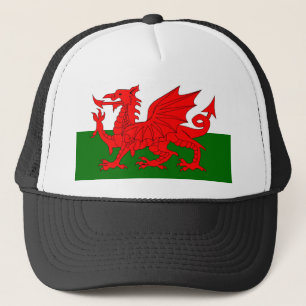 Boné Welsh Dragon Flag