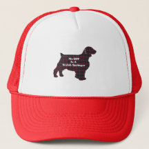 Welsh Springer SPANIEL BFF