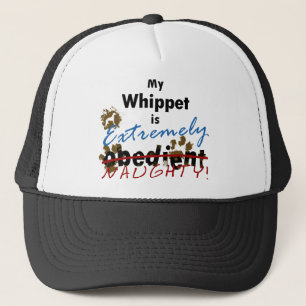 Boné Whippet extremamente impertinente