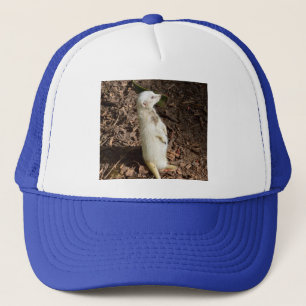 Boné White Meerkat Standby,