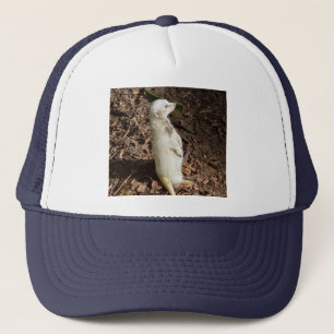 Boné White Meerkat Standby, Truckers Hat