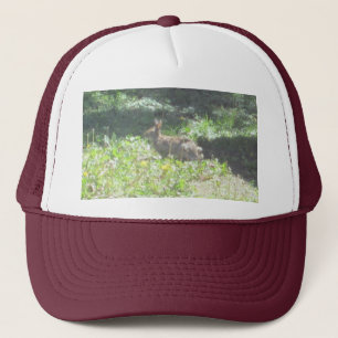 Boné Wild Bunny Hat