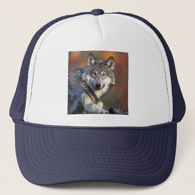 Boné Wolf Wisdom Hat (Frente)