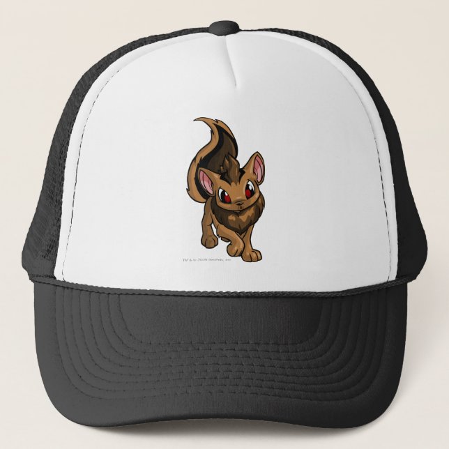 Boné Xweetok Brown (Frente)