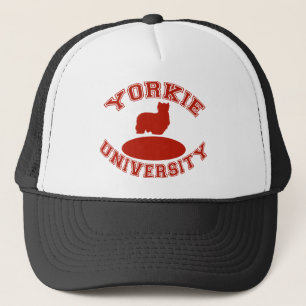 Boné Yorkie