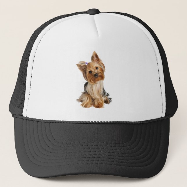 Boné Yorkshire Terrier Dog Pet Animal Custom (Frente)