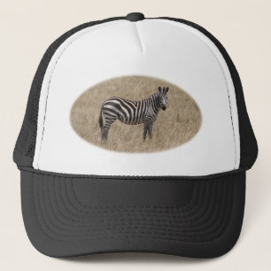 Boné zebra