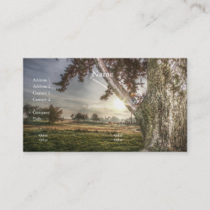 Boneca Leopard numa Cartão de visita de árvore