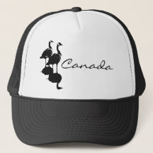 Bonés de ganso do Canadá e Souvenirs de Goose do C
